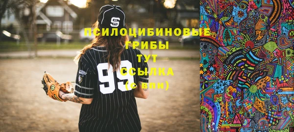 МДПВ Волоколамск