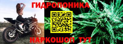 дживик Волжск