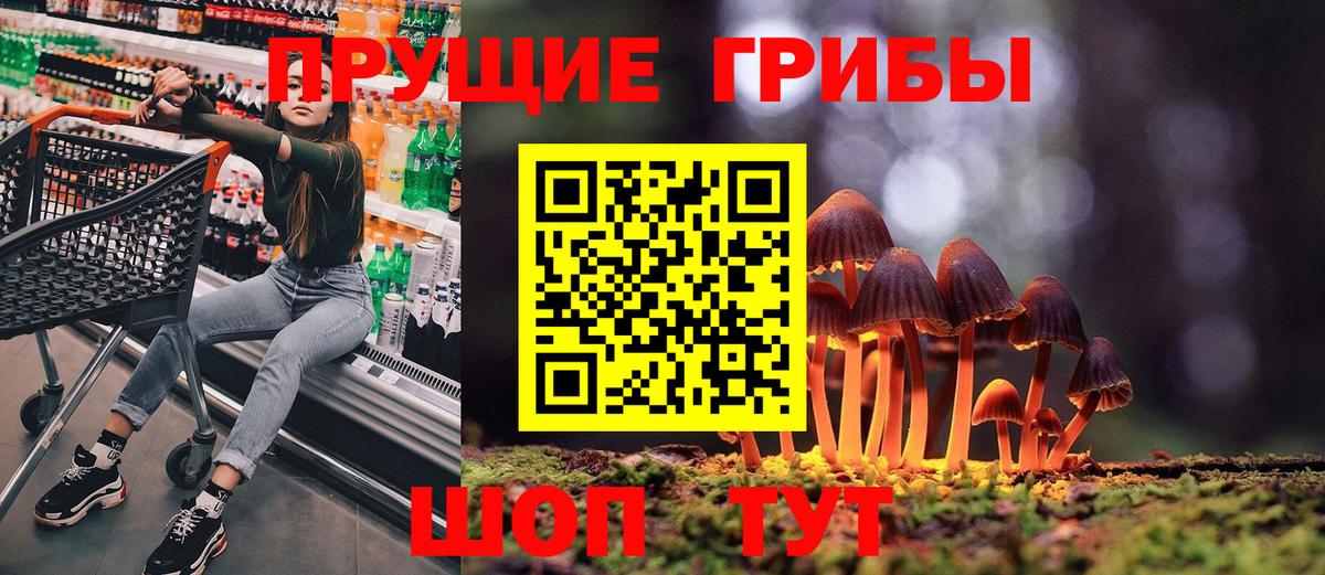 Кызыл  Галлюциногенные грибы мухоморы  Вход с VPN 